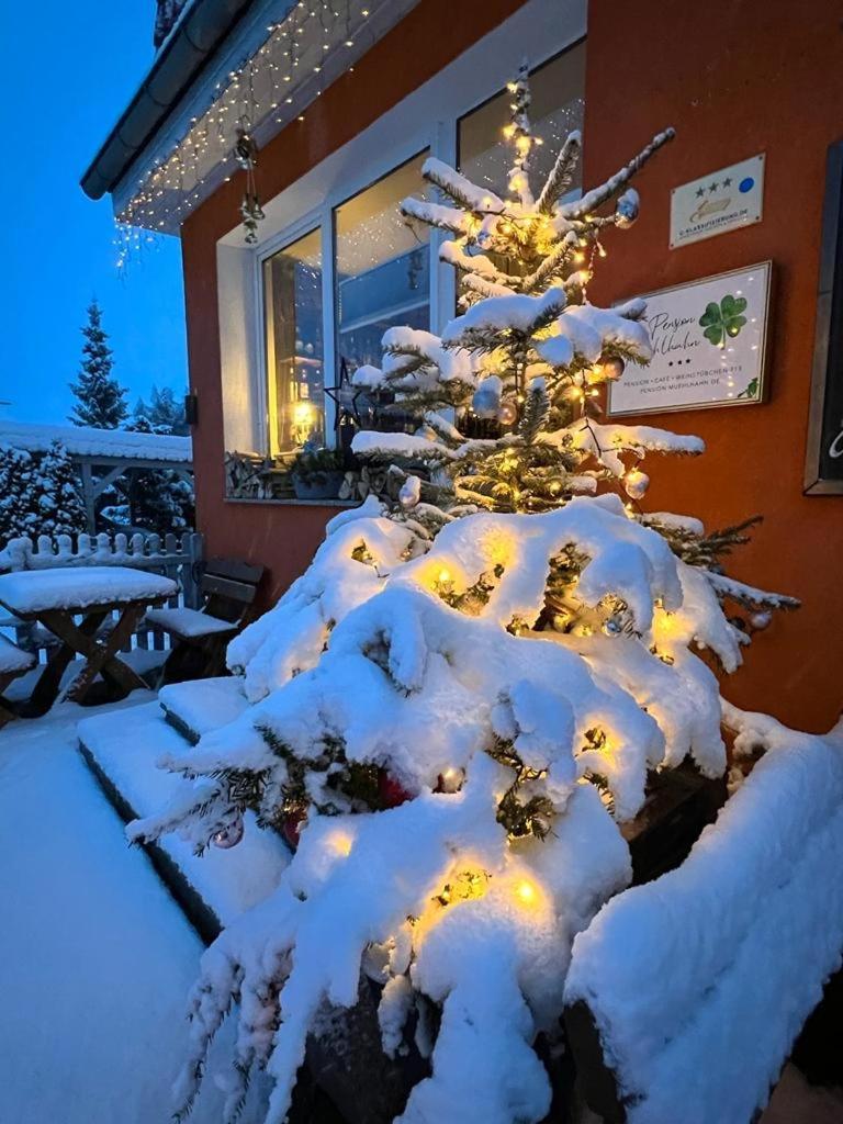 Pension Muehlhahn Schierke Exteriér fotografie