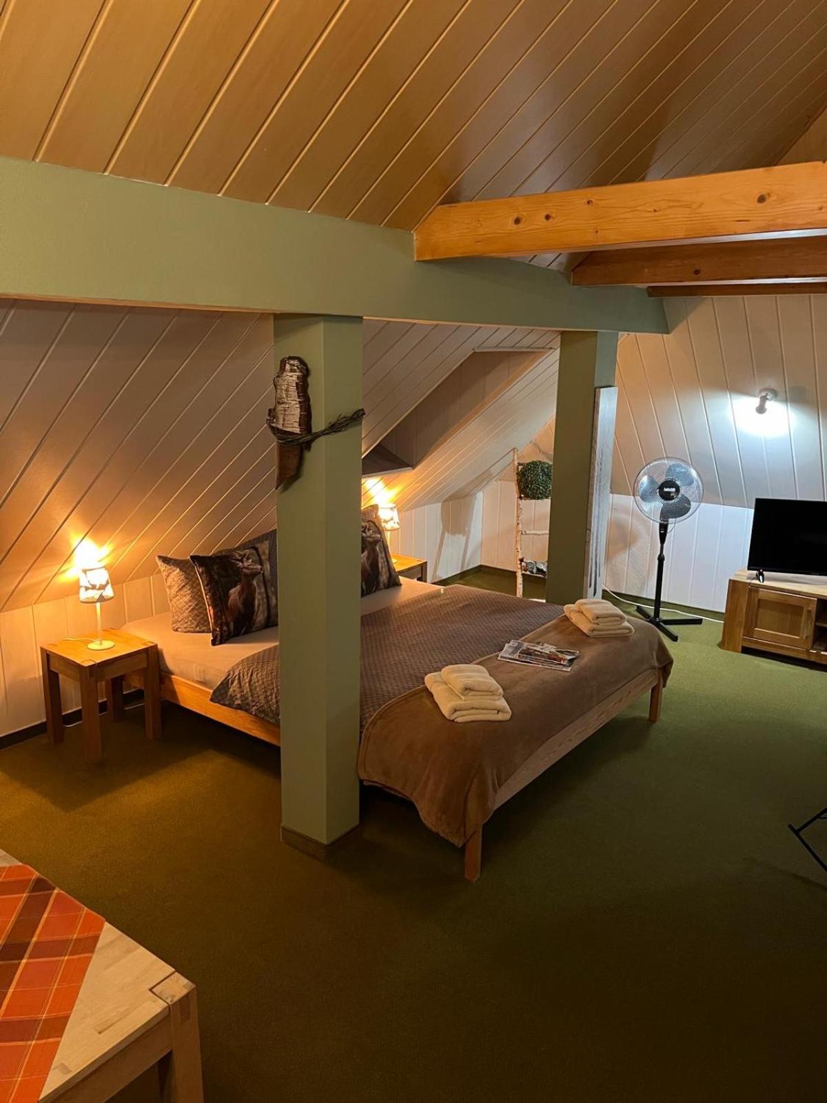 Pension Muehlhahn Schierke Exteriér fotografie